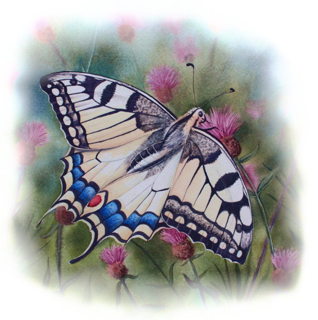 Grand Machaon