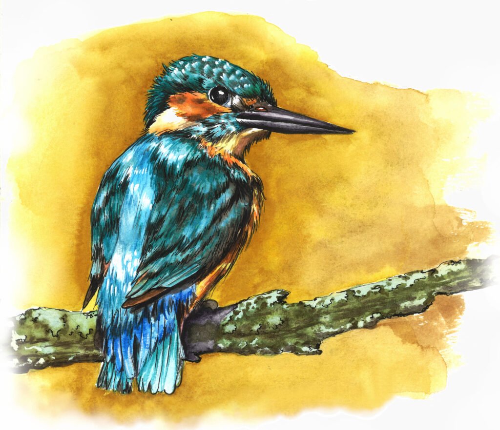 Oiseau bleu adour martin pêcheur