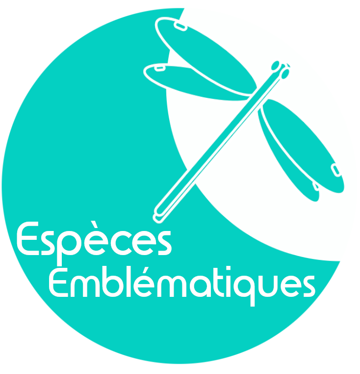 espèces endémiques bassin adour hautes-pyrénées