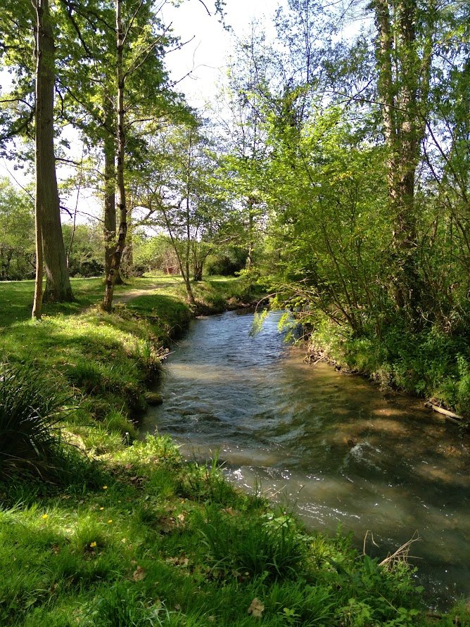 Canal de l'Alaric au bois d'Aureillan