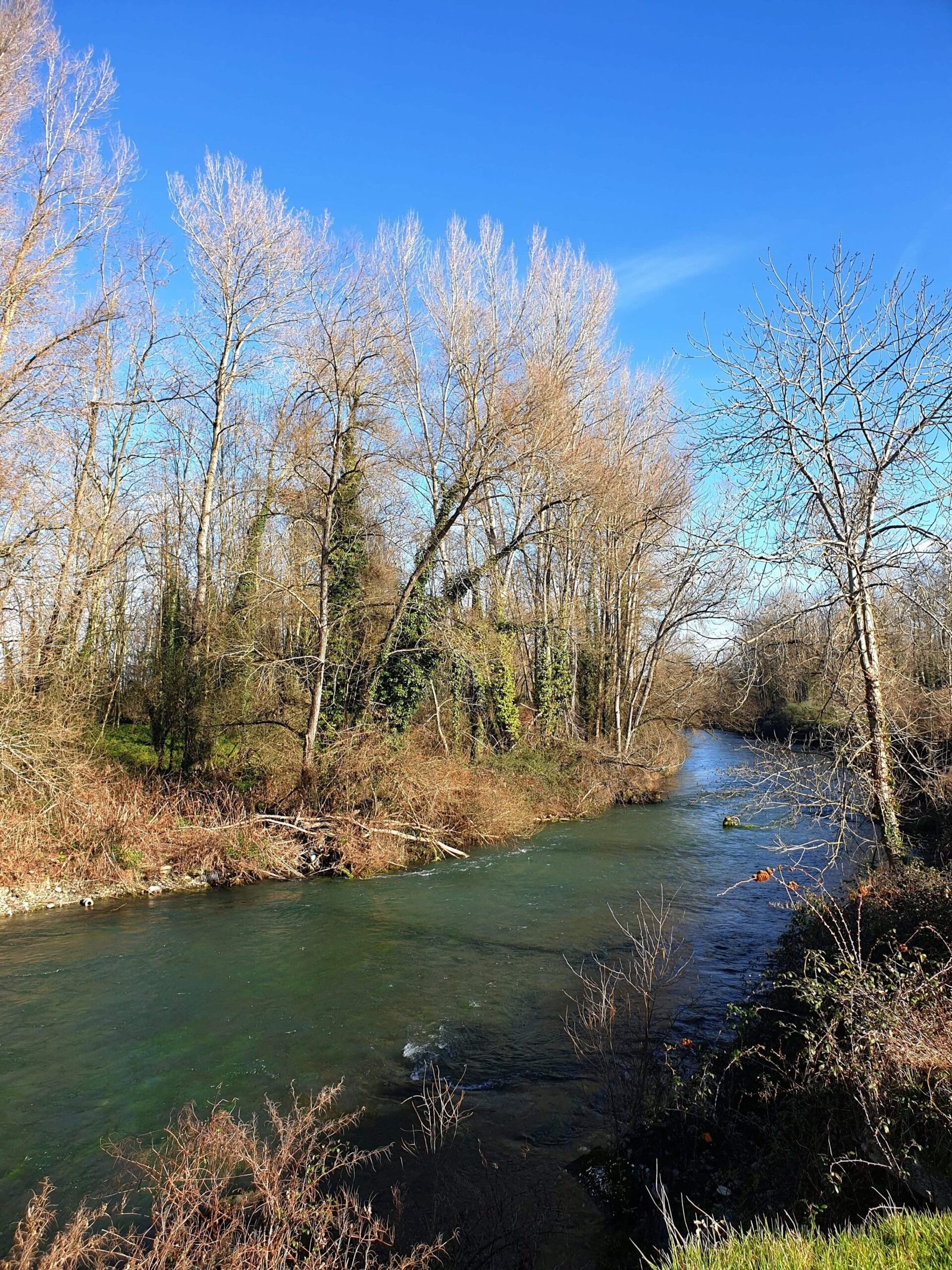 Bazet sentier de l'Adour