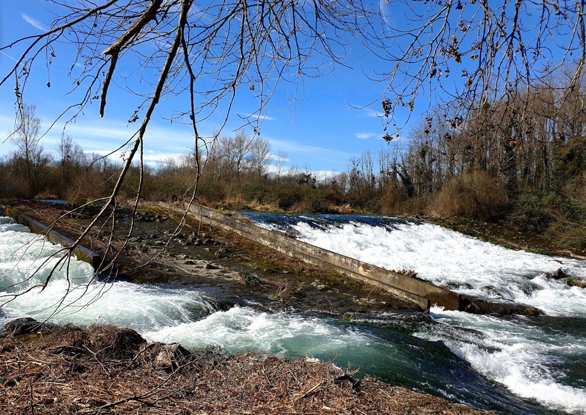 Seuil et passe à poissons l'adour à bazillac (65)
