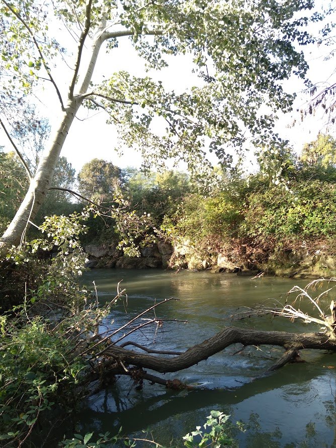 Estéous cours d'eau Hautes-Pyrénées