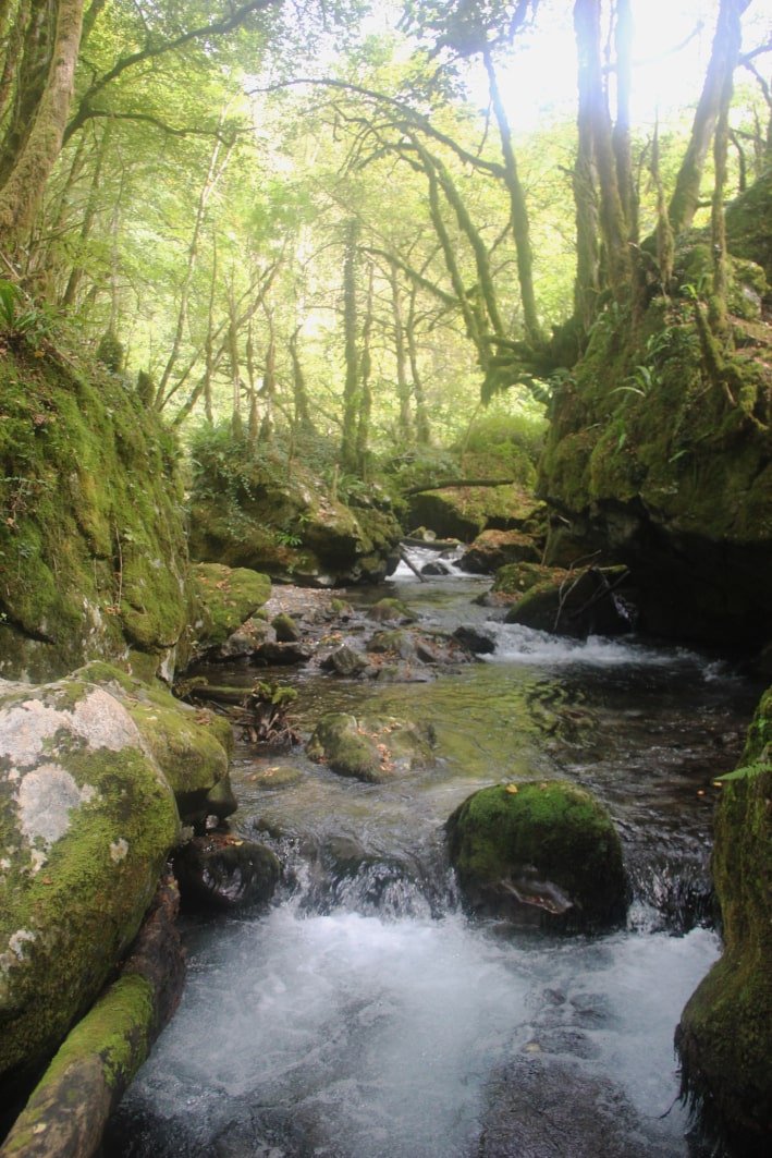 Asque - source de l'Arros 4-min