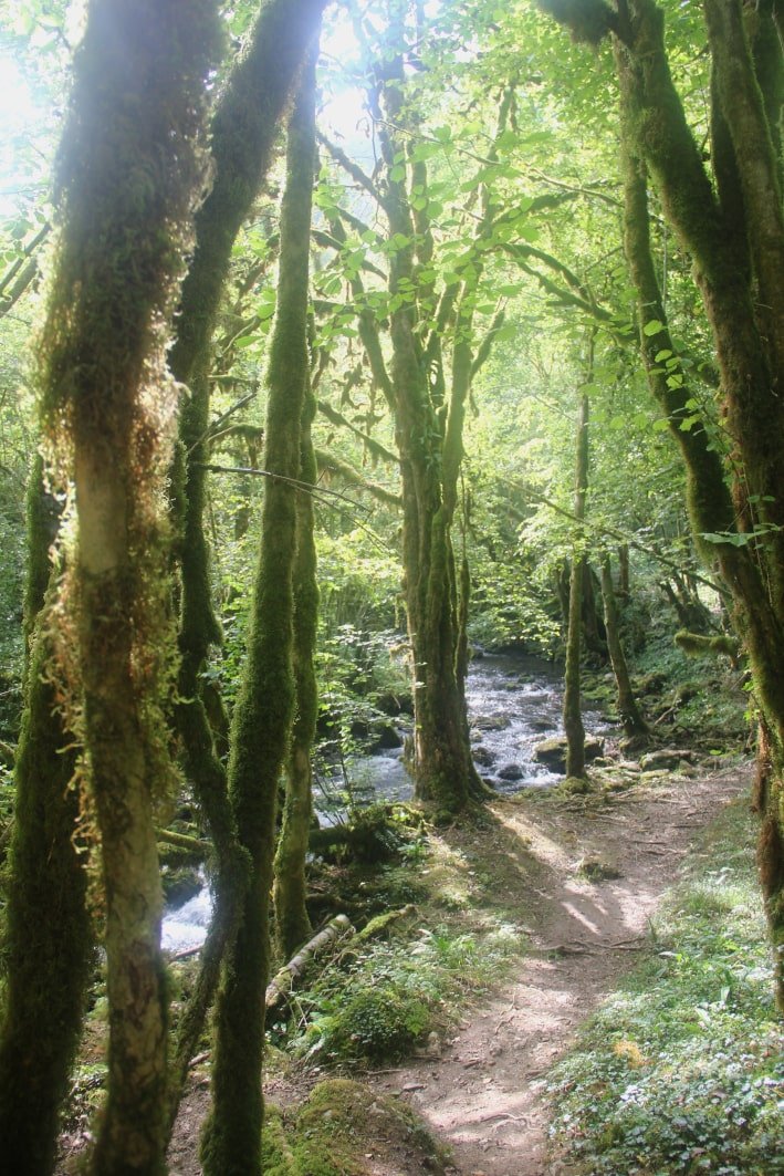 Asque - source de l'Arros-min