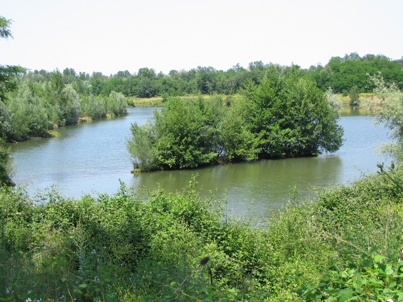 Bassins ancienne gravière Jû-Belloc