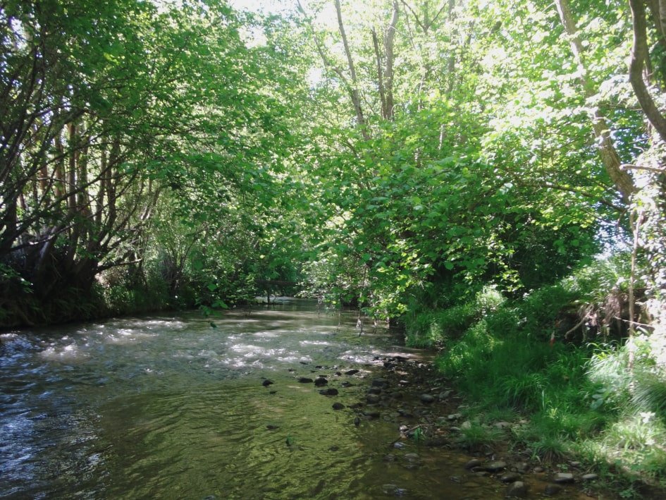 Louet affluent de l'Adour