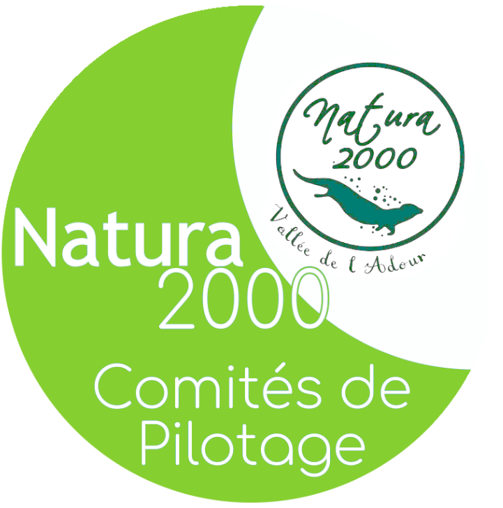 Bouton Comités de pilotage